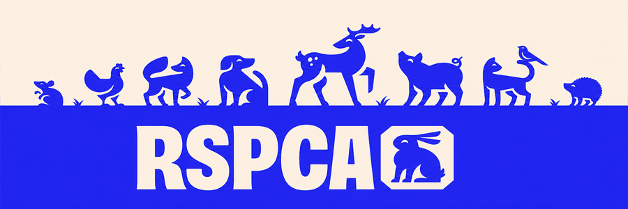 RSPCA Shiba in space